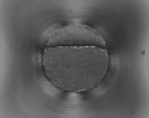 X0000112470380200909281051