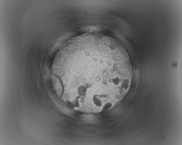 X0000112470381200909281051