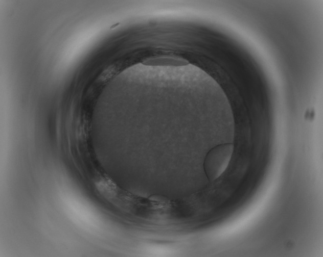 X0000112470382200909281052