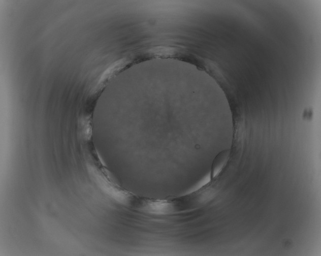 X0000112470383200909281052