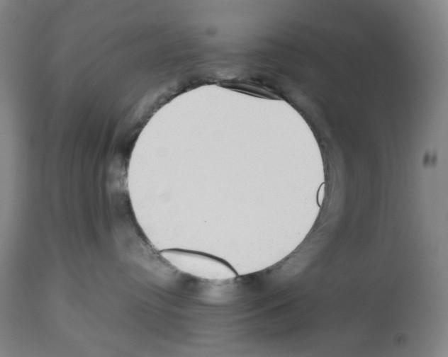 X0000112470384200909281052