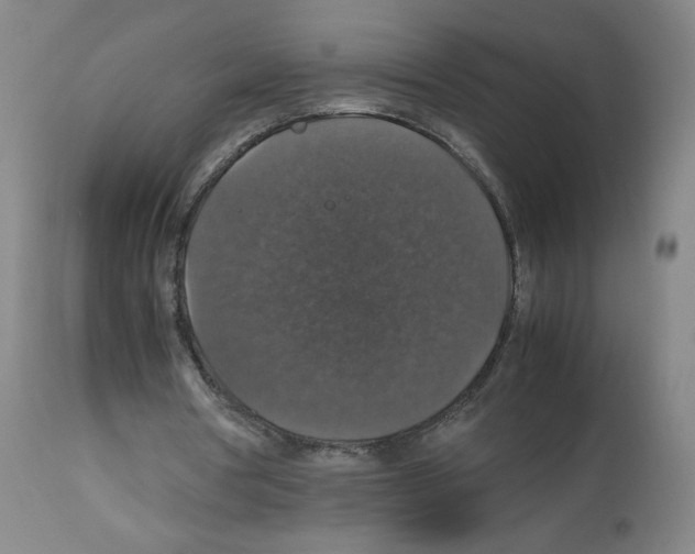 X0000112470386200909281051