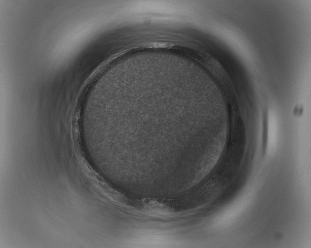 X0000112470387200909281051