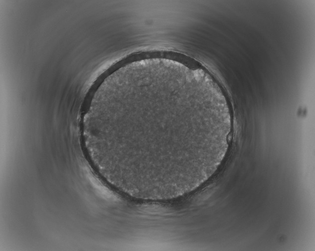 X0000112470389200909281051