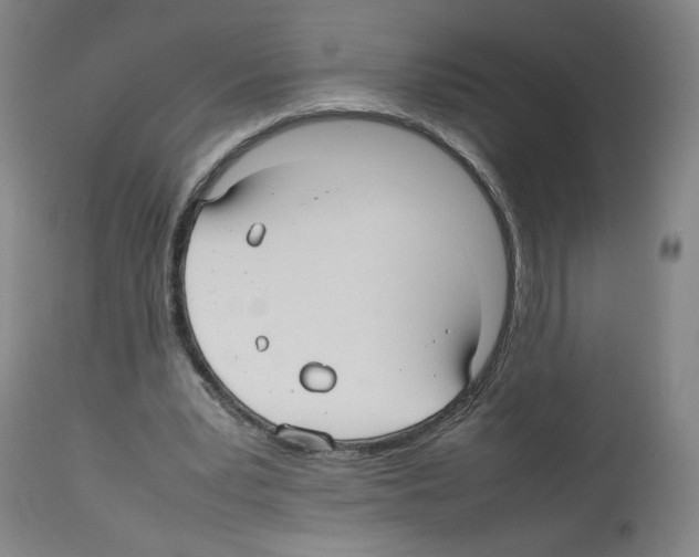 X0000112470391200909281051
