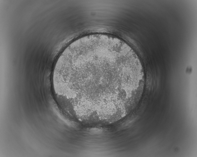 X0000112470394200909281051