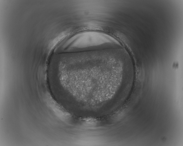 X0000112470395200909281051