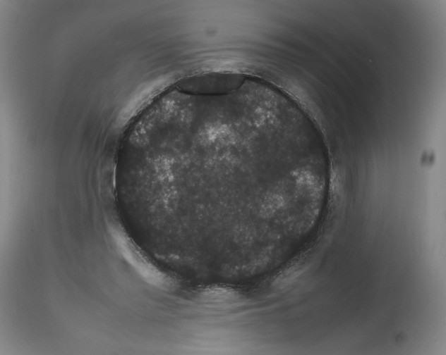 X0000112470397200909281051