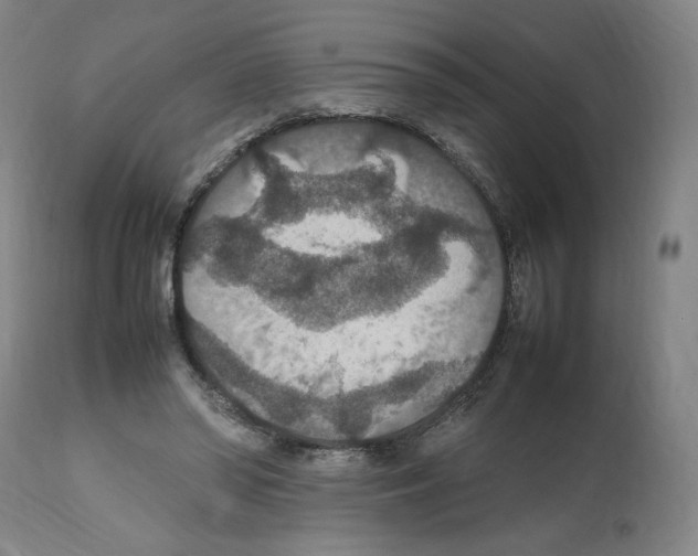 X0000112470398200909281051