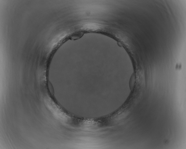 X0000112470399200909281051