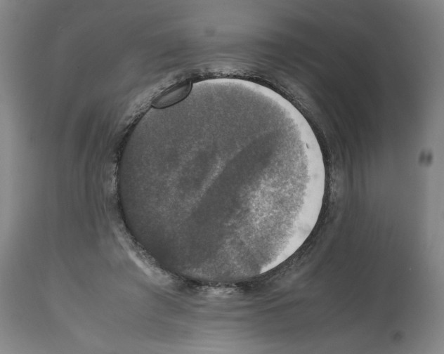 X0000112470401200909281051