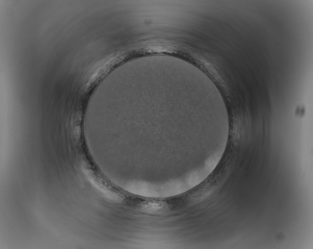 X0000112470402200909281051