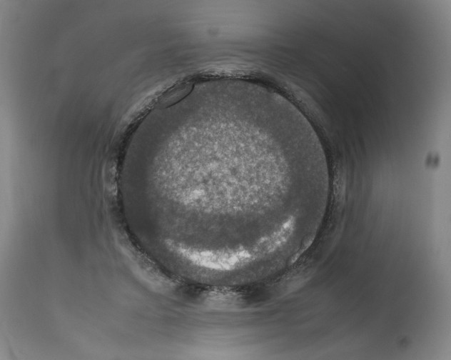 X0000112470403200909281051