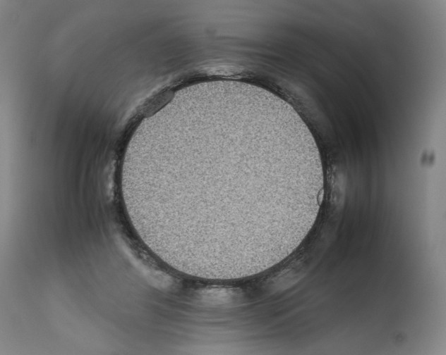 X0000112470404200909281051