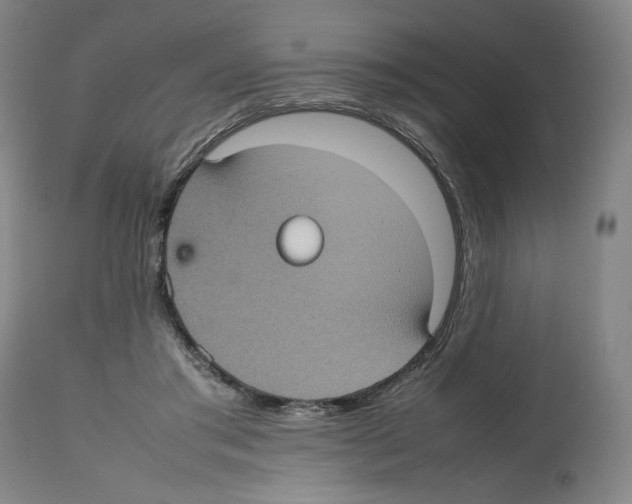 X0000112470405200909281051