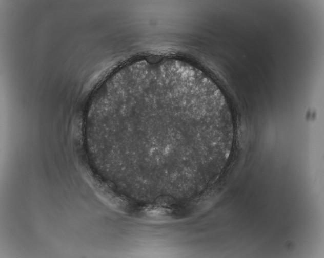 X0000112470407200909281051