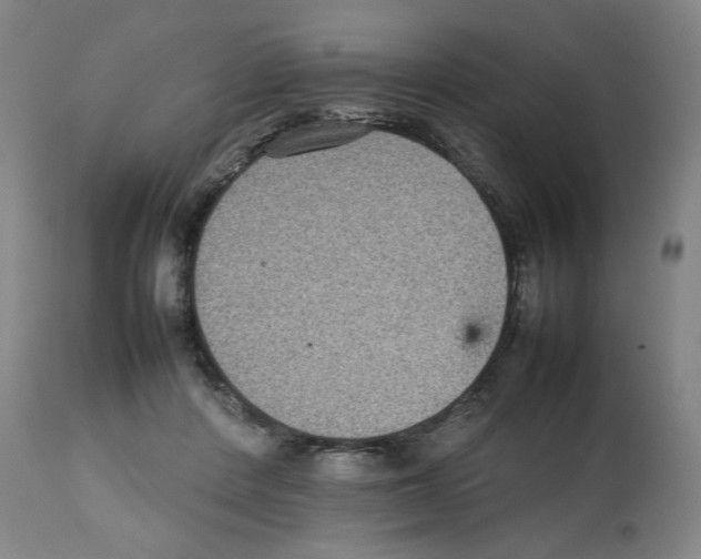 X0000112470408200909281051
