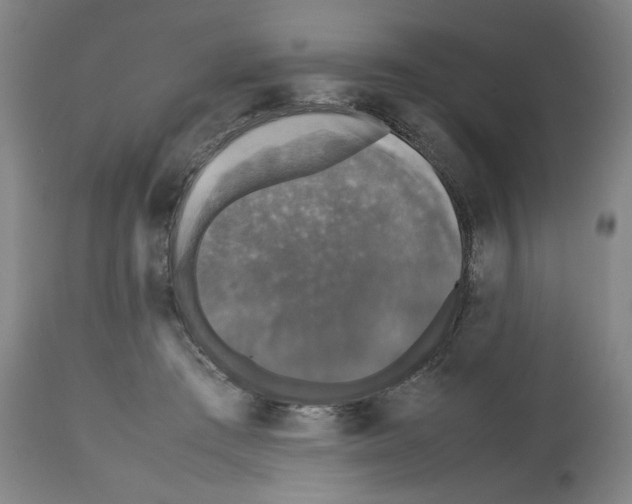 X0000112470409200909281050