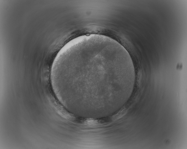 X0000112470413200909281050