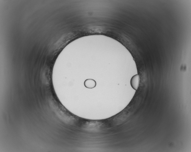 X0000112470414200909281050