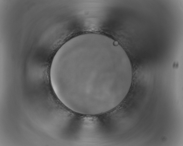 X0000112470415200909281050