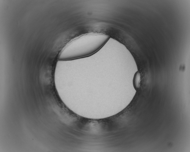 X0000112470416200909281050