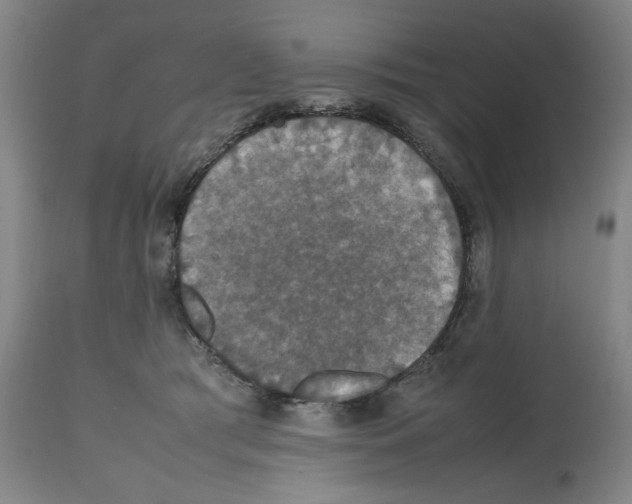 X0000112470417200909281050