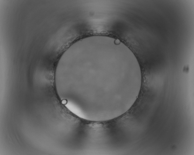 X0000112470419200909281050