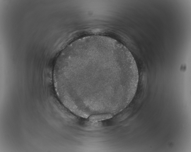 X0000112470421200909281050