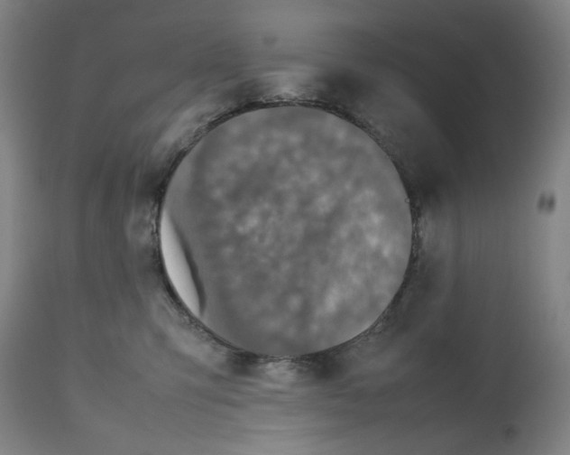 X0000112470423200909281050