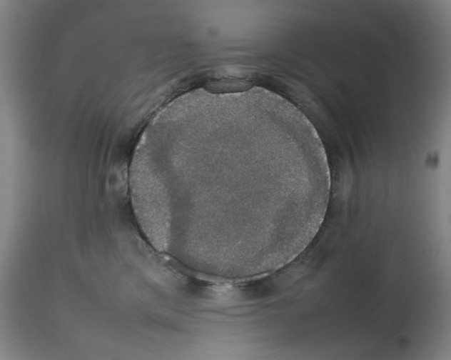 X0000112470425200909281050