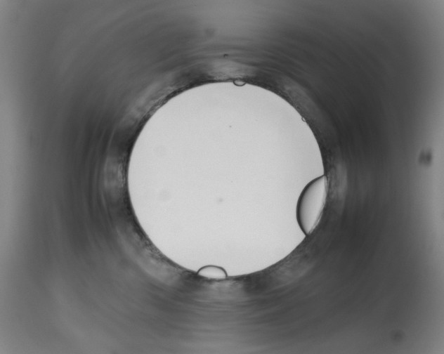 X0000112470426200909281050
