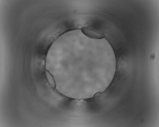 X0000112470427200909281050