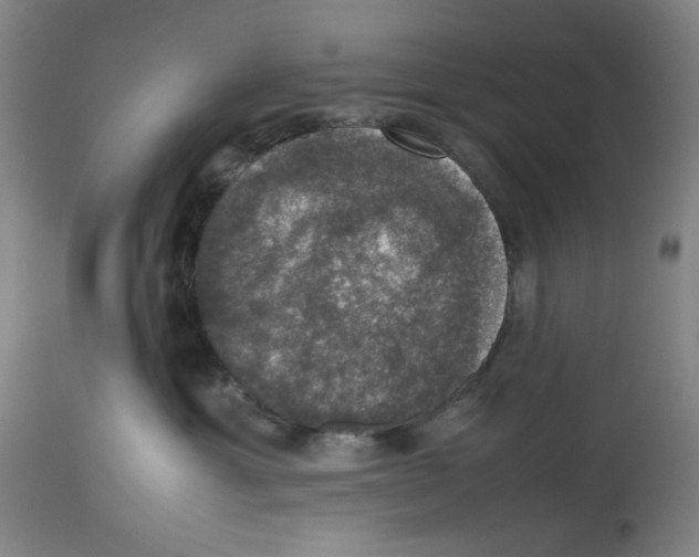 X0000112470429200909281050