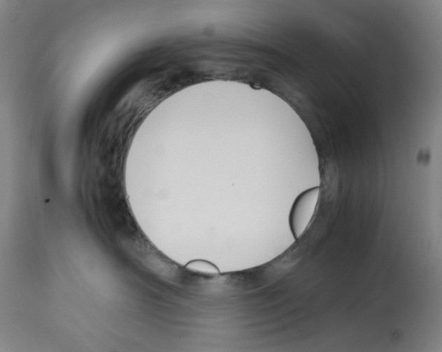 X0000112470430200909281050