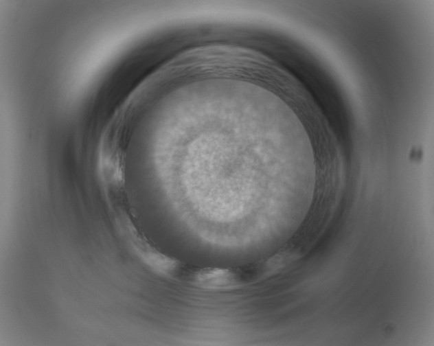 X0000112470431200909281050