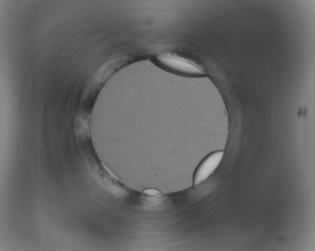 X0000112470432200909281050