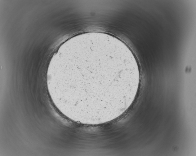 X0000112470433200909281049
