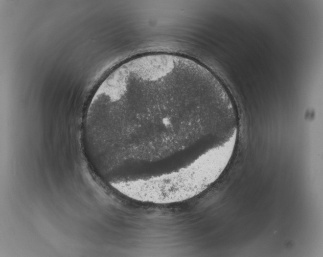 X0000112470434200909281049