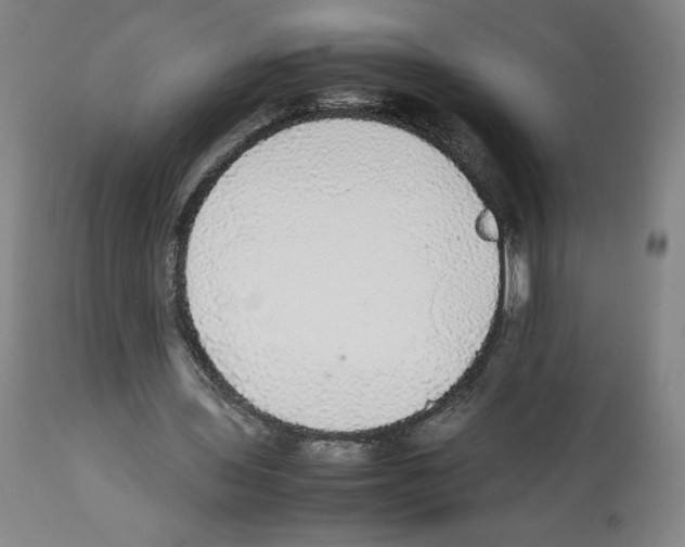 X0000112470435200909281049