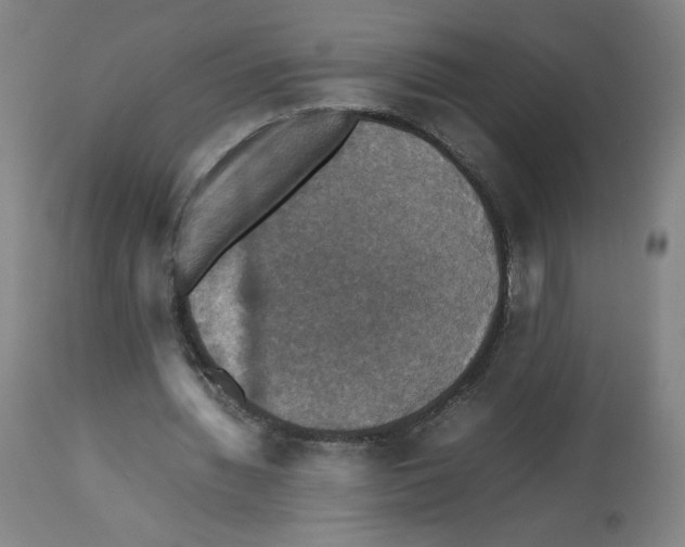 X0000112470436200909281049