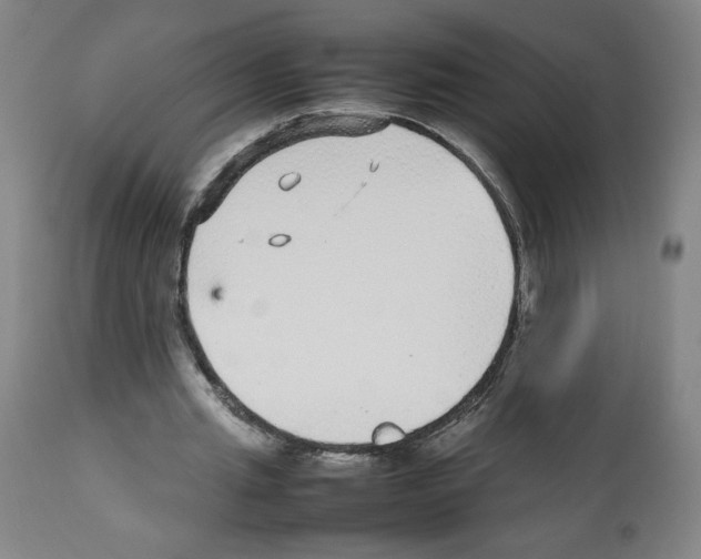 X0000112470437200909281049