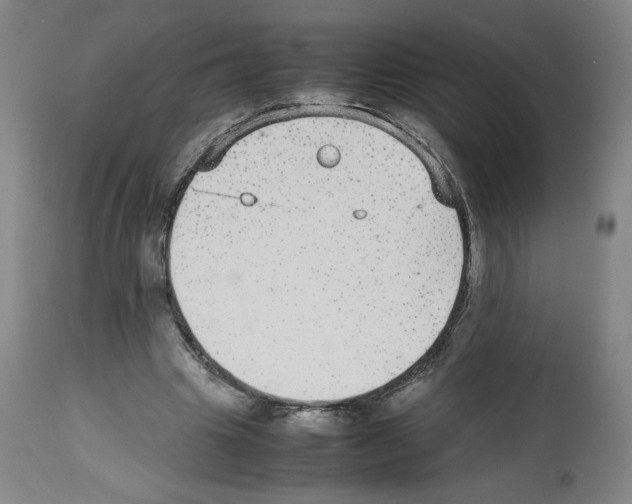 X0000112470441200909281049