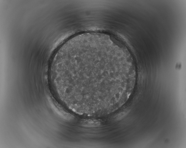 X0000112470443200909281049