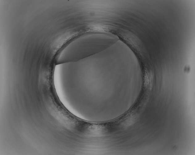 X0000112470444200909281049