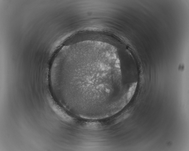 X0000112470446200909281050