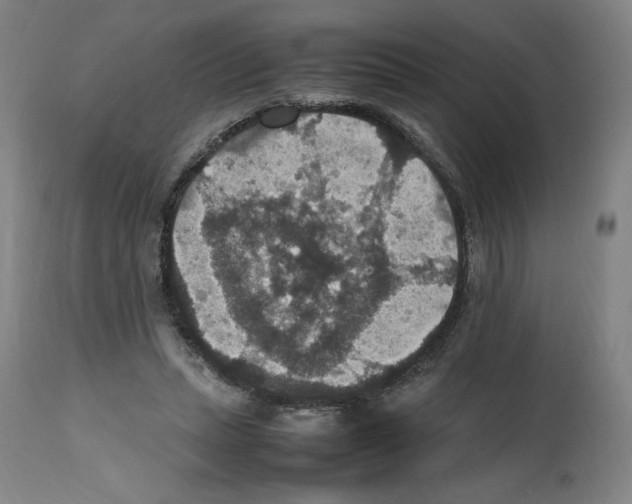 X0000112470447200909281050