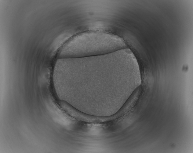 X0000112470448200909281050