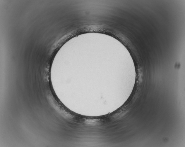 X0000112470450200909281050