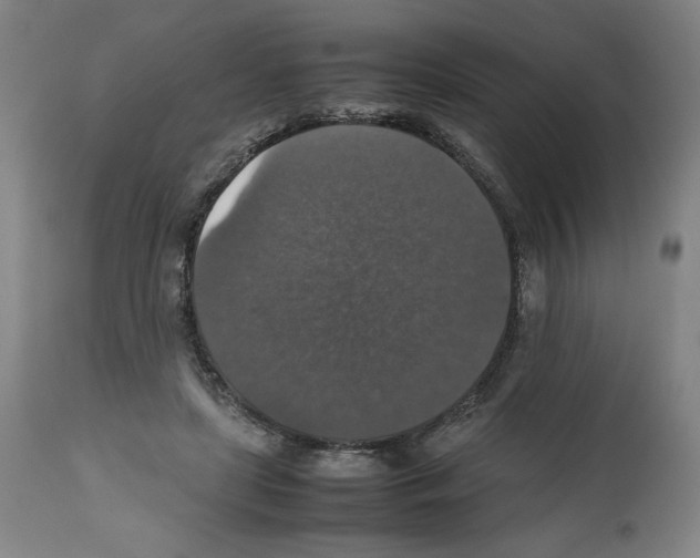 X0000112470451200909281050